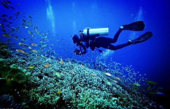 贾玲新电影海报疑似抄袭日本!抄袭黑历史被扒出