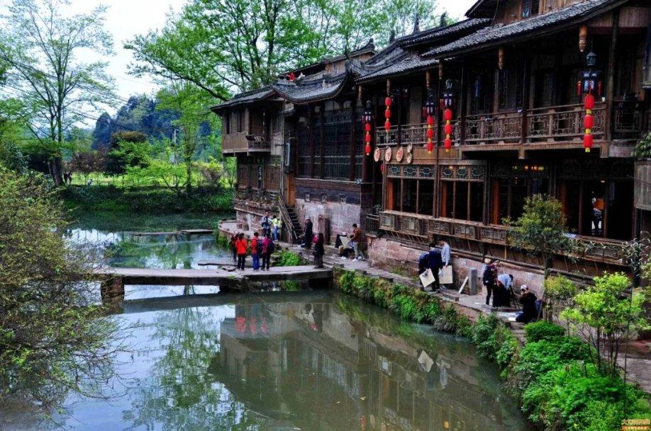 动物帮帮忙保卫家园
