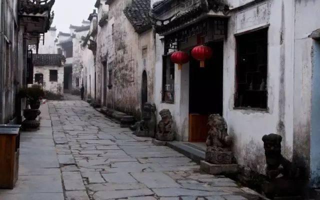 诱捕小浣熊